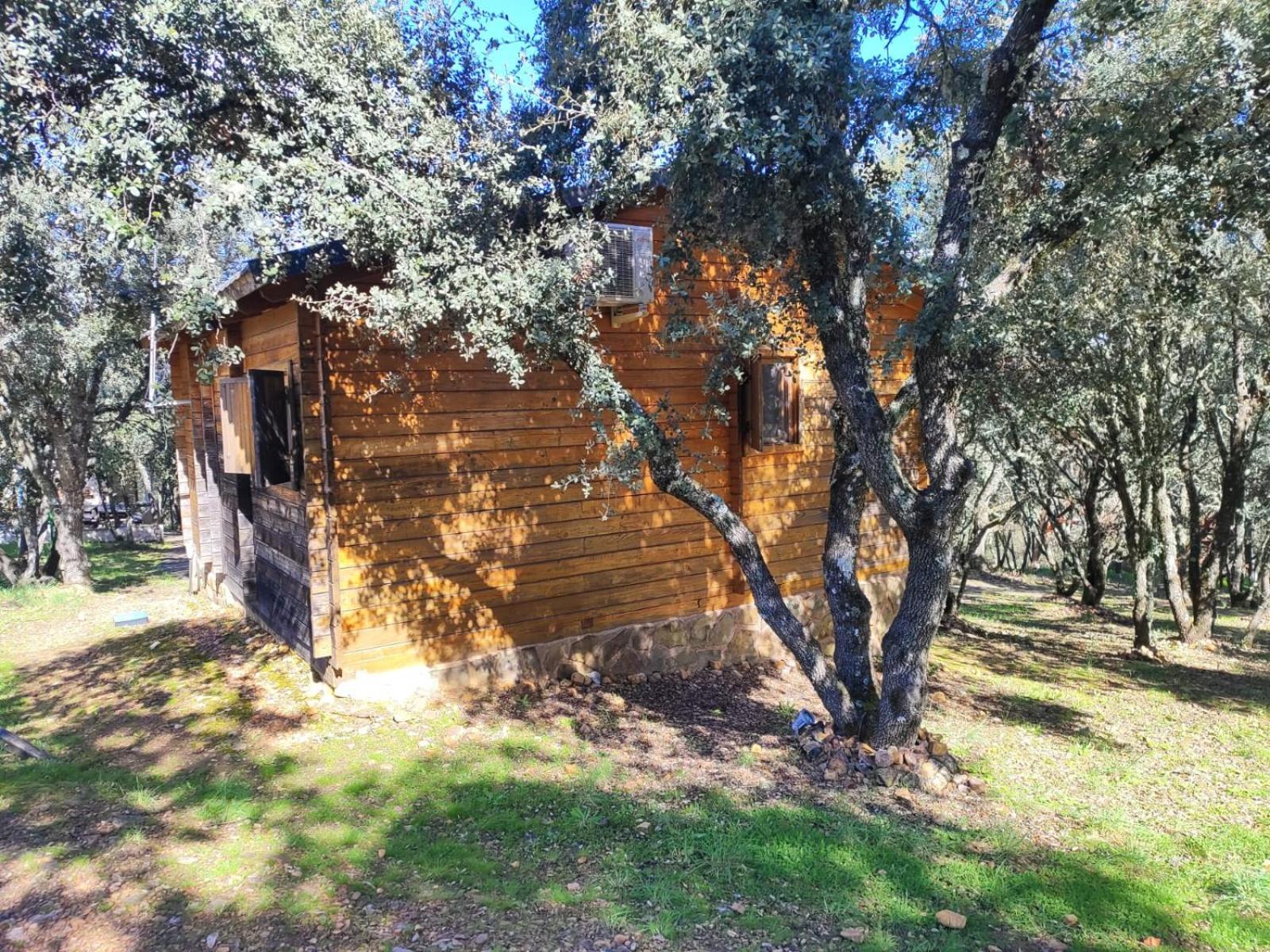 Nuevo Ecolodge Cabaneros Ретуэрта-де-Бульяке Экстерьер фото